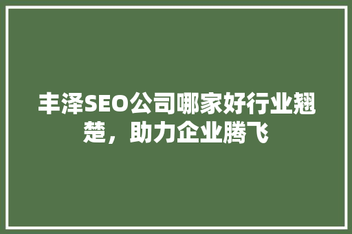丰泽SEO公司哪家好行业翘楚，助力企业腾飞