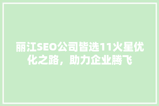 丽江SEO公司皆选11火星优化之路，助力企业腾飞  第1张