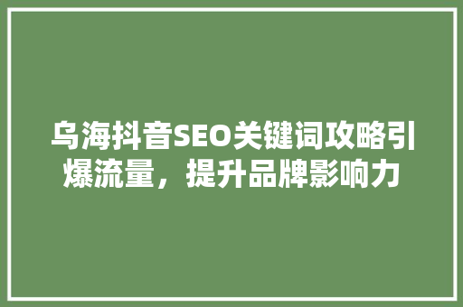 乌海抖音SEO关键词攻略引爆流量，提升品牌影响力  第1张