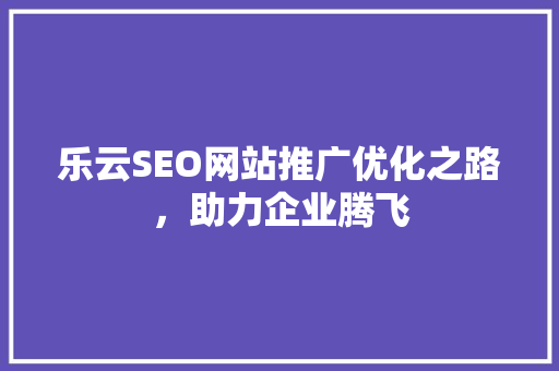 乐云SEO网站推广优化之路，助力企业腾飞