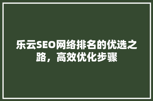 乐云SEO网络排名的优选之路，高效优化步骤