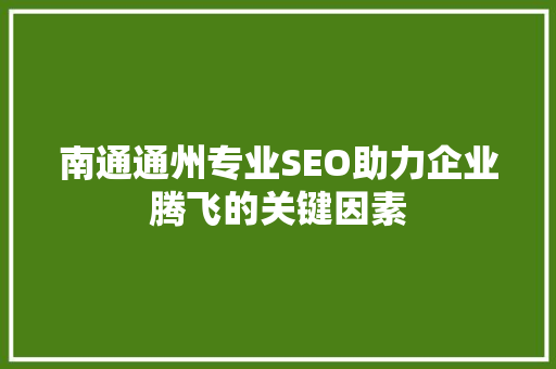 南通通州专业SEO助力企业腾飞的关键因素