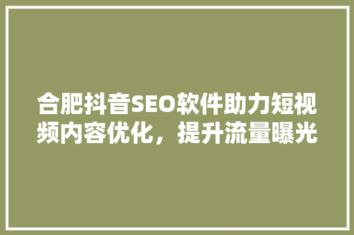 合肥抖音SEO软件助力短视频内容优化，提升流量曝光  第1张