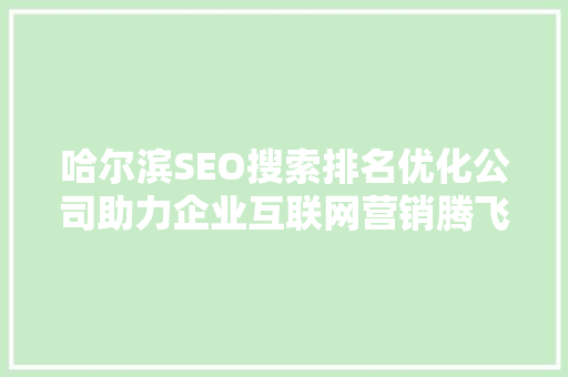 哈尔滨SEO搜索排名优化公司助力企业互联网营销腾飞