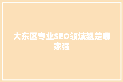 大东区专业SEO领域翘楚哪家强