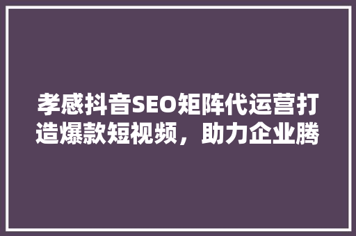 孝感抖音SEO矩阵代运营打造爆款短视频，助力企业腾飞