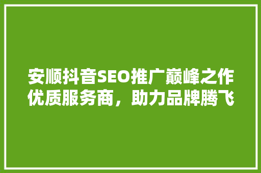 安顺抖音SEO推广巅峰之作优质服务商，助力品牌腾飞