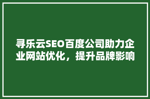 寻乐云SEO百度公司助力企业网站优化，提升品牌影响力