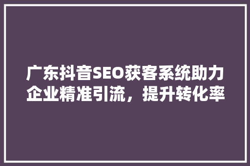 广东抖音SEO获客系统助力企业精准引流，提升转化率