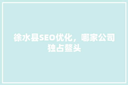 徐水县SEO优化，哪家公司独占鳌头