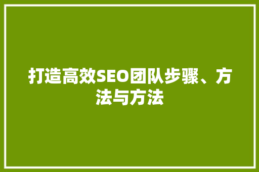 打造高效SEO团队步骤、方法与方法