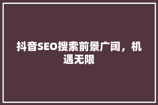 抖音SEO搜索前景广阔，机遇无限