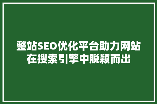 整站SEO优化平台助力网站在搜索引擎中脱颖而出