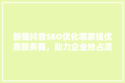 新疆抖音SEO优化哪家强优质服务商，助力企业抢占流量高地