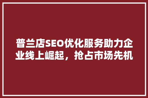 普兰店SEO优化服务助力企业线上崛起，抢占市场先机