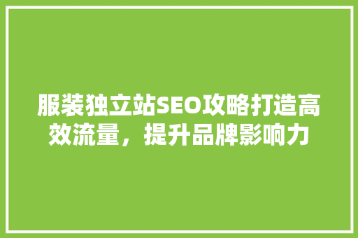 服装独立站SEO攻略打造高效流量，提升品牌影响力