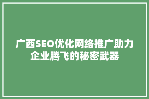广西SEO优化网络推广助力企业腾飞的秘密武器