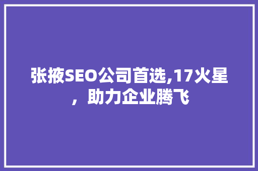 张掖SEO公司首选,17火星，助力企业腾飞  第1张
