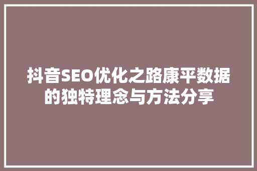 抖音SEO优化之路康平数据的独特理念与方法分享