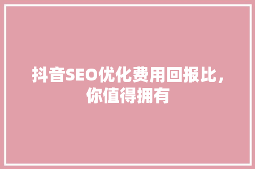 抖音SEO优化费用回报比，你值得拥有