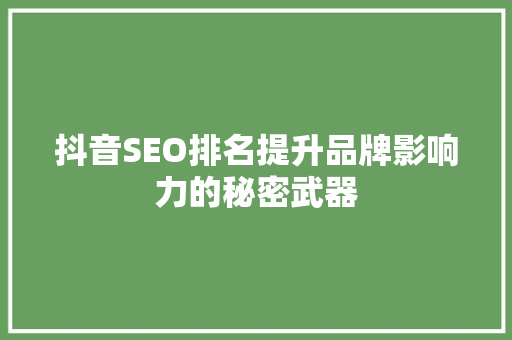 抖音SEO排名提升品牌影响力的秘密武器  第1张