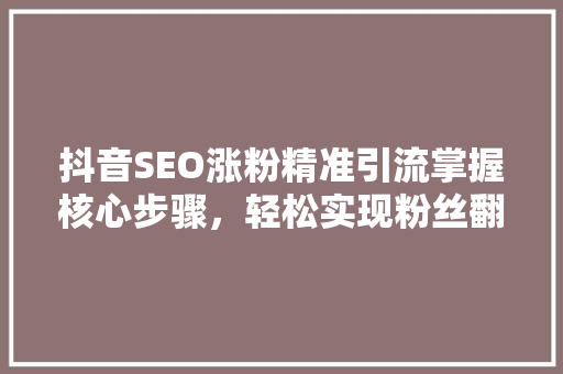 抖音SEO涨粉精准引流掌握核心步骤，轻松实现粉丝翻倍增长