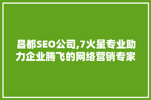昌都SEO公司,7火星专业助力企业腾飞的网络营销专家