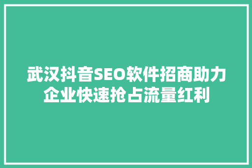 武汉抖音SEO软件招商助力企业快速抢占流量红利