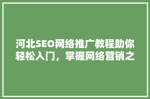 河北SEO网络推广教程助你轻松入门，掌握网络营销之路