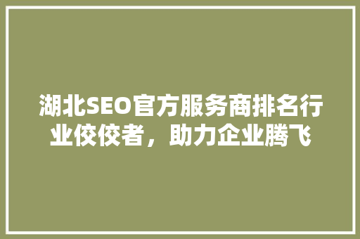 湖北SEO官方服务商排名行业佼佼者，助力企业腾飞