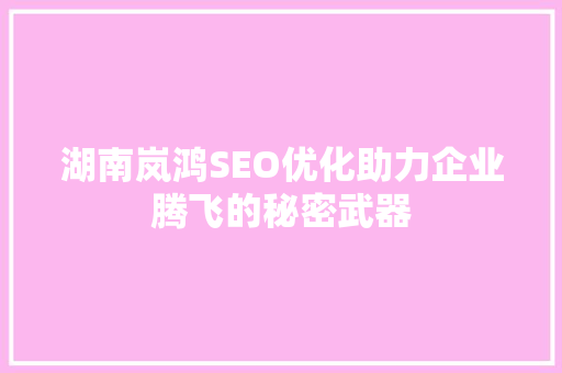 湖南岚鸿SEO优化助力企业腾飞的秘密武器
