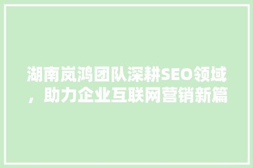 湖南岚鸿团队深耕SEO领域，助力企业互联网营销新篇章