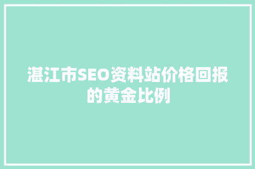 湛江市SEO资料站价格回报的黄金比例  第1张