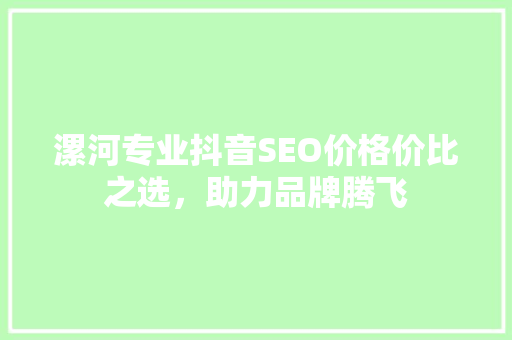 漯河专业抖音SEO价格价比之选，助力品牌腾飞  第1张