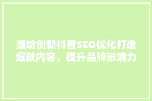 潍坊创新抖音SEO优化打造爆款内容，提升品牌影响力
