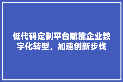 低代码定制平台赋能企业数字化转型，加速创新步伐