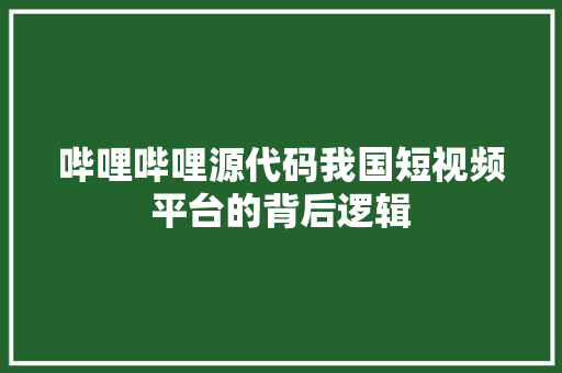 哔哩哔哩源代码我国短视频平台的背后逻辑