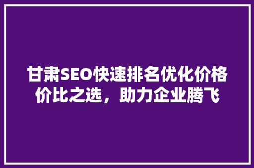 甘肃SEO快速排名优化价格价比之选，助力企业腾飞