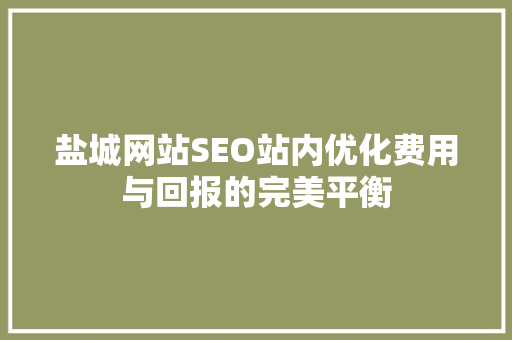 盐城网站SEO站内优化费用与回报的完美平衡  第1张