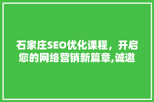 石家庄SEO优化课程，开启您的网络营销新篇章,诚邀加盟代理，共创辉煌未来