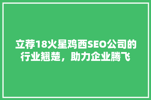 立荐18火星鸡西SEO公司的行业翘楚，助力企业腾飞