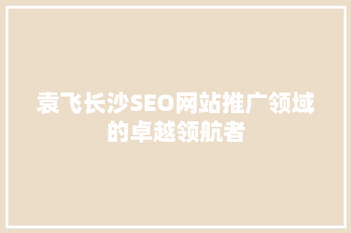 袁飞长沙SEO网站推广领域的卓越领航者
