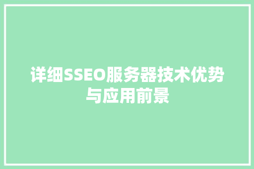 详细SSEO服务器技术优势与应用前景