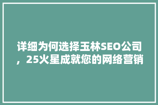 详细为何选择玉林SEO公司，25火星成就您的网络营销之路  第1张
