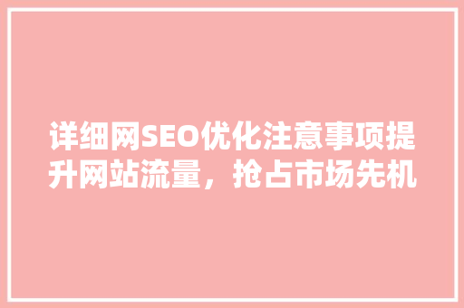 详细网SEO优化注意事项提升网站流量，抢占市场先机
