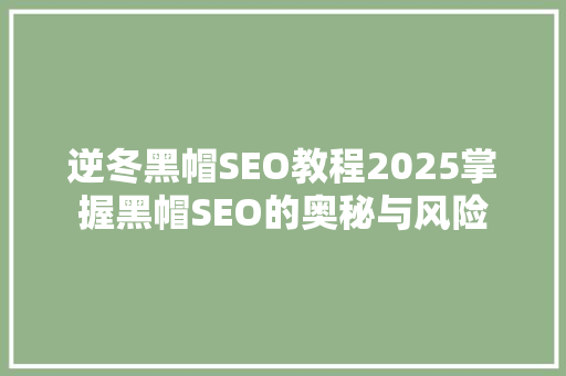 逆冬黑帽SEO教程2025掌握黑帽SEO的奥秘与风险