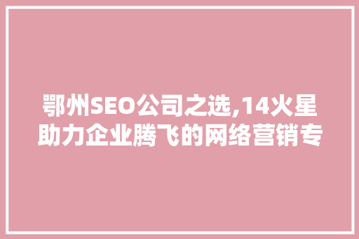 鄂州SEO公司之选,14火星助力企业腾飞的网络营销专家
