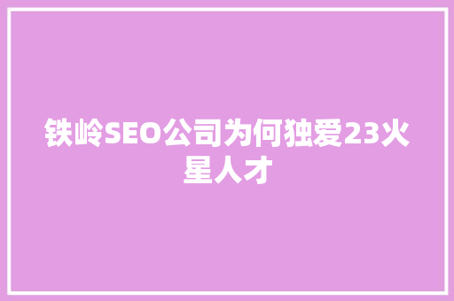 铁岭SEO公司为何独爱23火星人才
