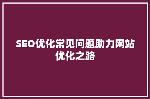 SEO优化常见问题助力网站优化之路