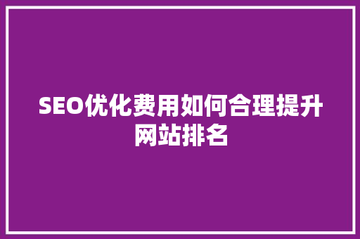 SEO优化费用如何合理提升网站排名